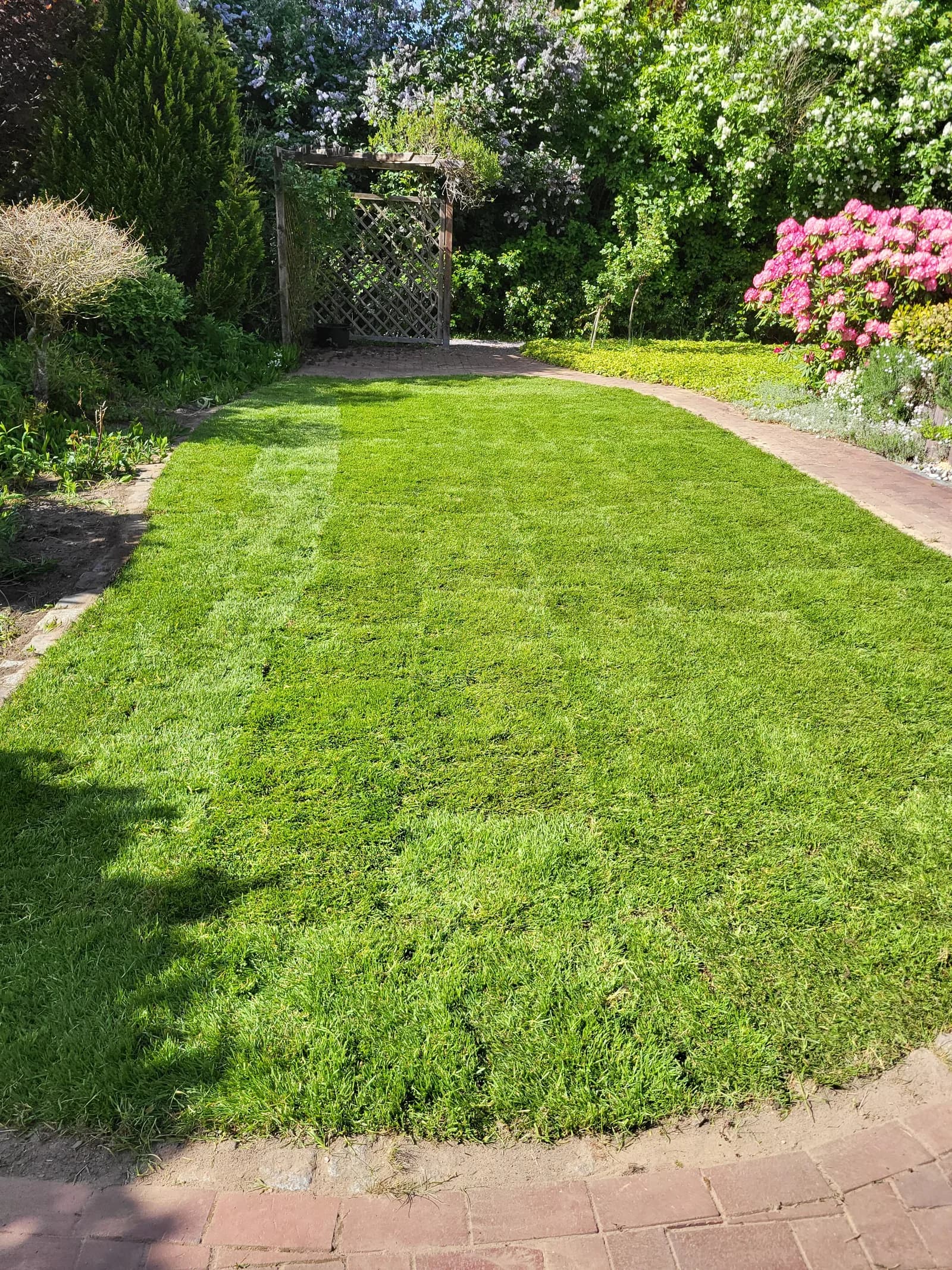 Neu angelegte Rasenfläche mit Beeteinfassung – Garten Jacobs